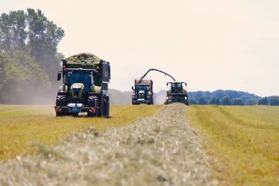 A tractor with a front weight bumper and trailer full of grass drives in a field, followed by two more machines harvesting.