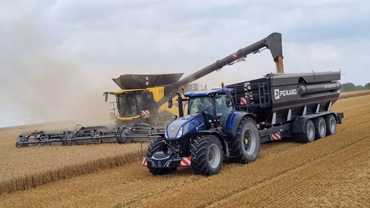 A blue tractor with a front weight bumper leads a large grain trailer beside a yellow combine harvester in a wheat field