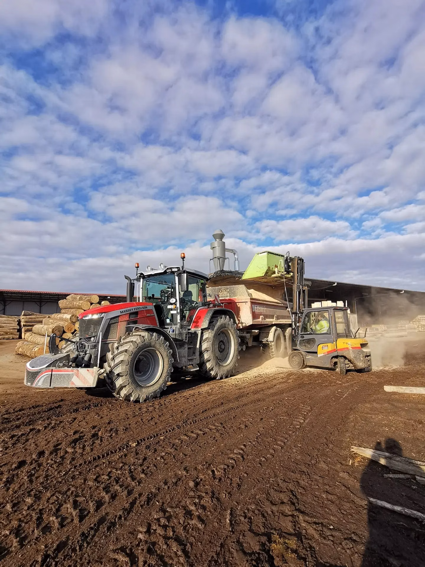 A red tractor with a front weight bumper pulls a loaded trailer next to a forklift on a dirt yard with logs in the background