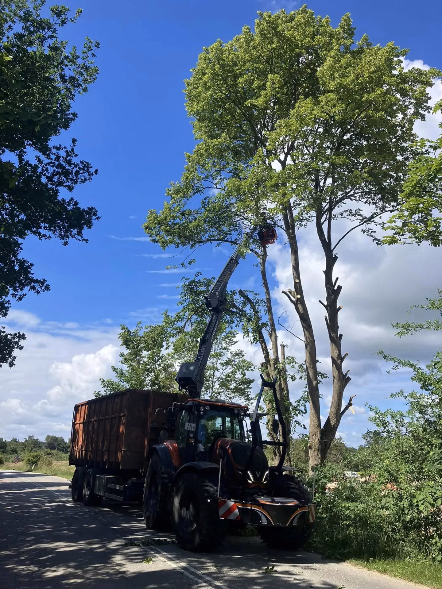 Tractor with a front weight bumper and attached crane trimming tall roadside trees under a clear blue sky