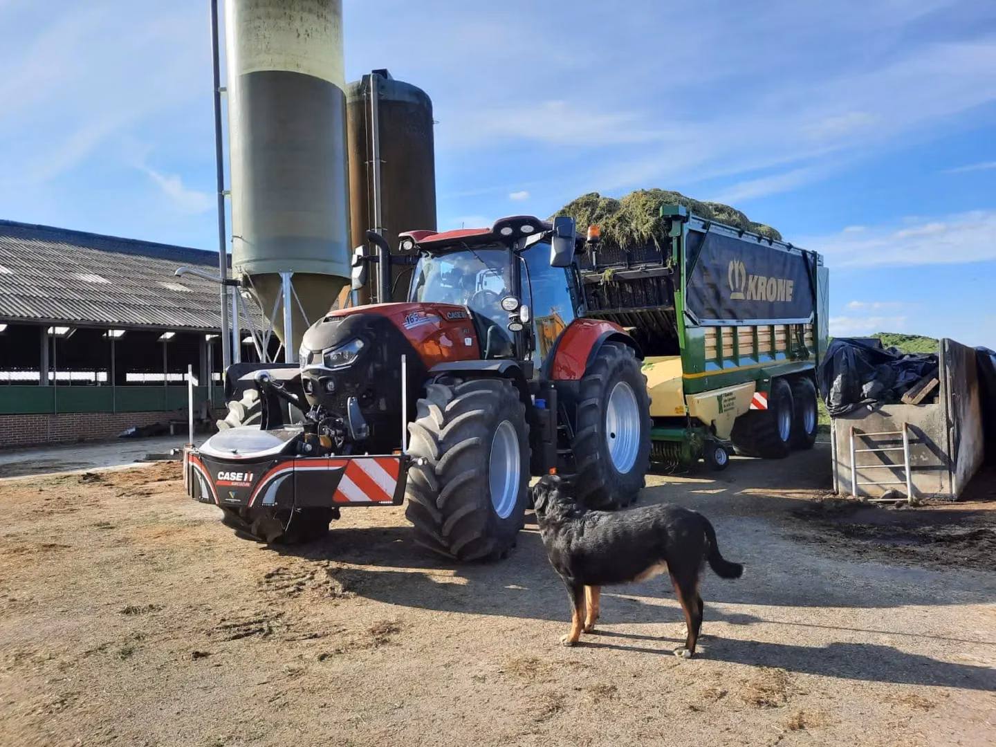 A tractor with a front weight bumper is parked on a farmyard, with a dog standing beside it and a large trailer attached