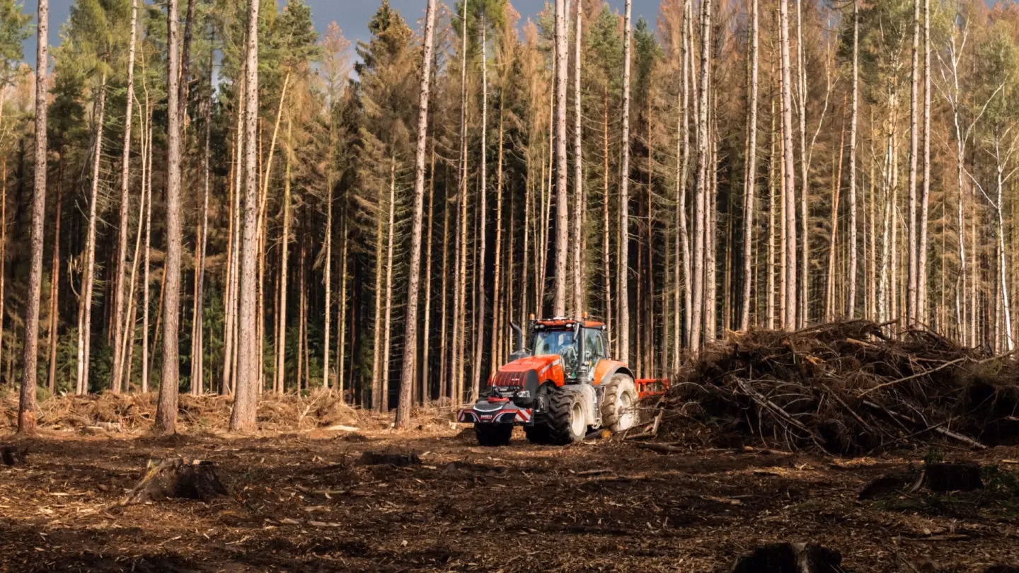 Red tractor with a front weight bumper on a cleared forest area surrounded by tall, slender trees