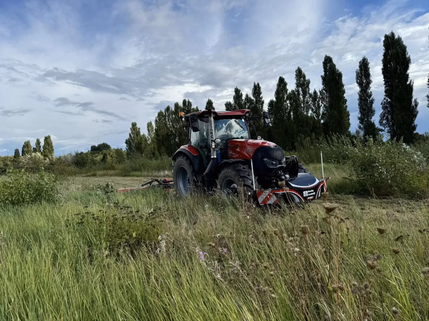 A red tractor with a front weight bumper attached is parked on grassland with tall trees in the background