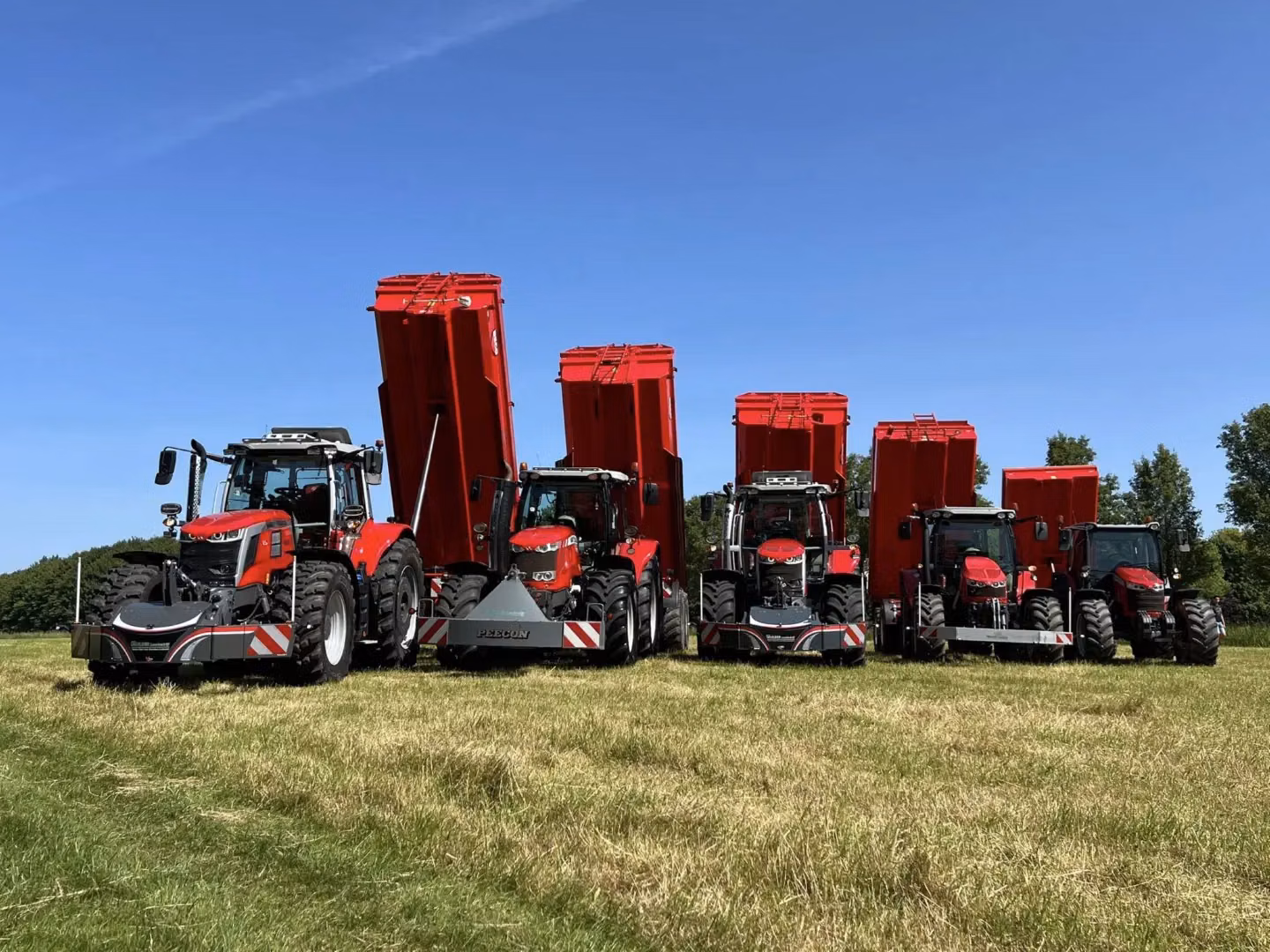 Five red tractors with front weight bumpers are lined up on grass, three pulling large red tipping trailers