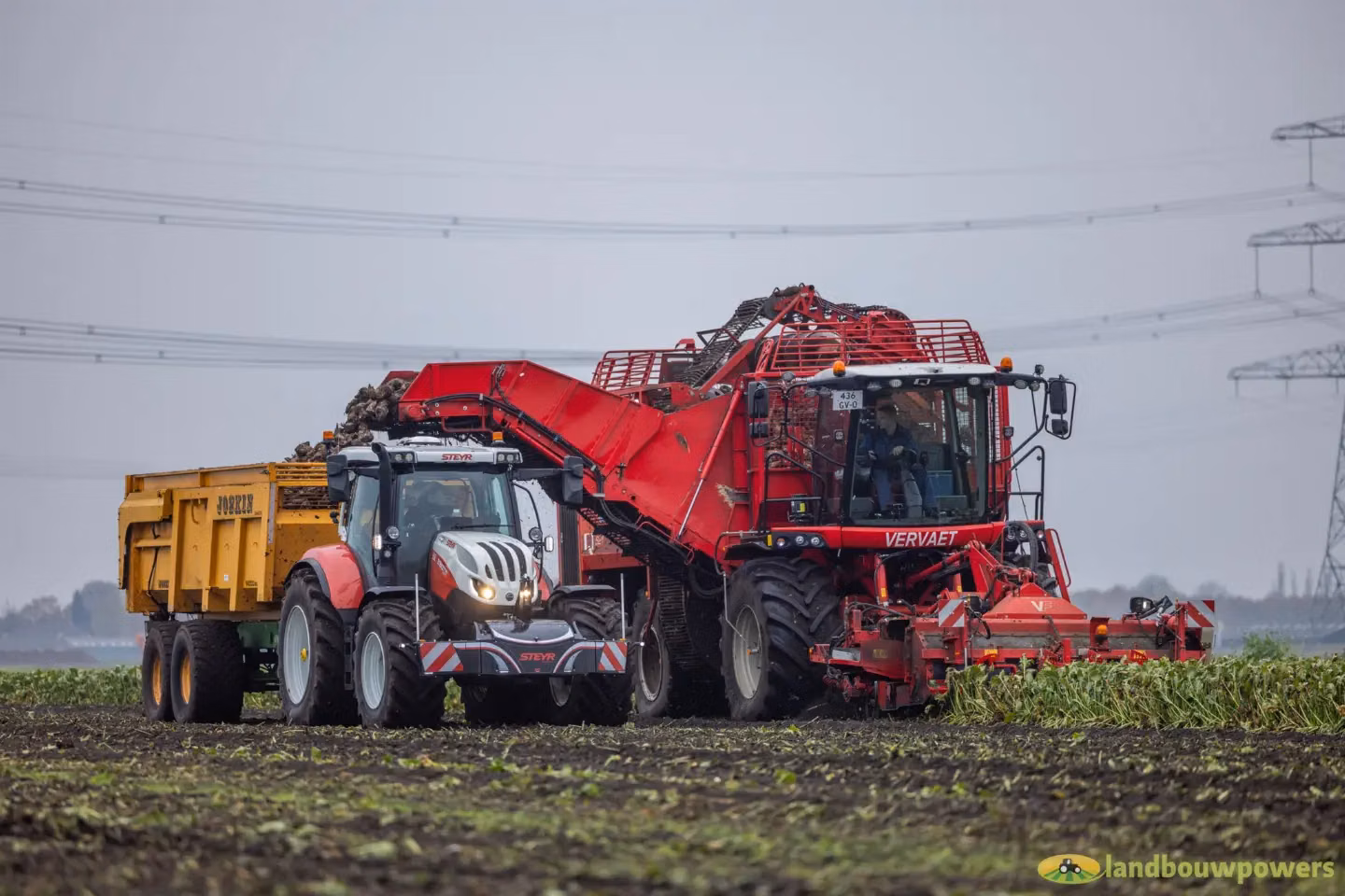 A Steyr tractor with a front weight bumper and LED lights hauls a yellow trailer beside a red harvester in a field