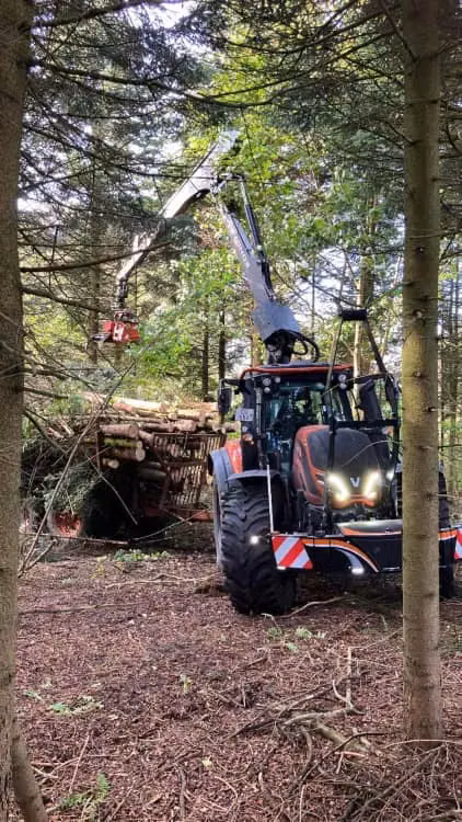 Tractor with a front weight bumper and a crane attachment lifting logs in a forest clearing
