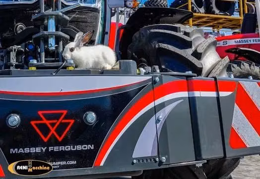 Two white rabbits sitting on and near a Massey Ferguson front weight bumper attached to a tractor