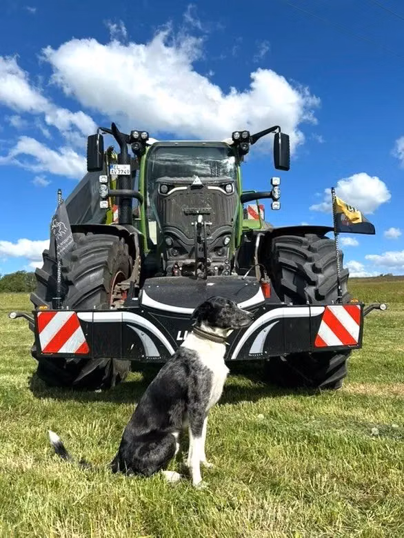 A large tractor with a front weight bumper featuring red and white safety stripes, with a black and white dog sitting in
