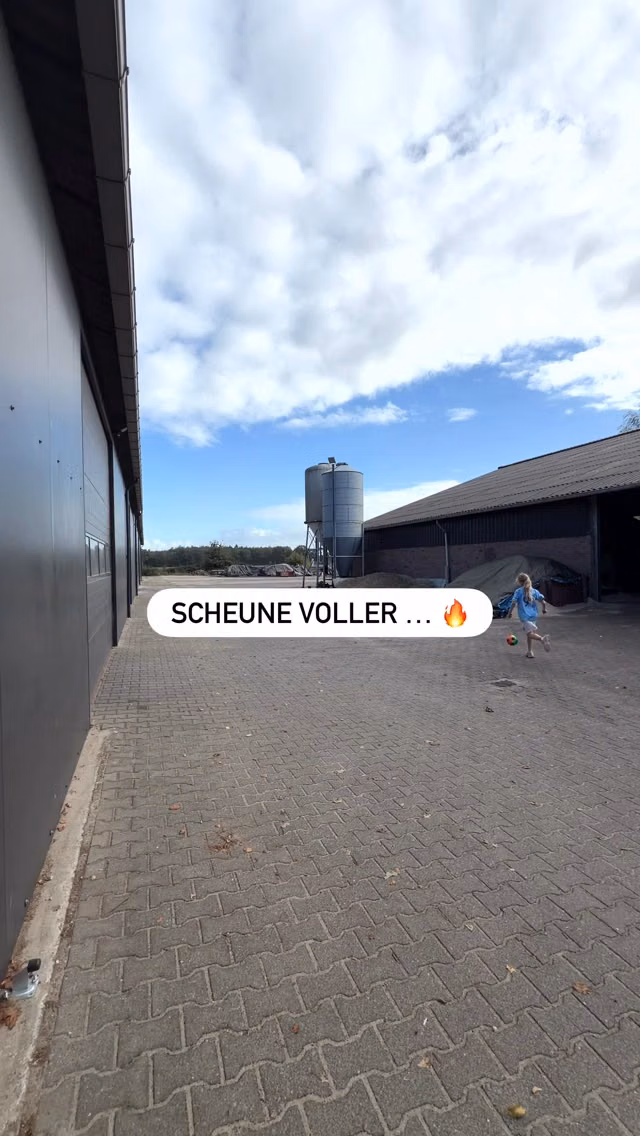 🔥 Leidenschaft
✅ Sichtbarkeit
🛡️ Frontschutz
🔧 Praktischen Lösungen
🚜 Kompakten Frontgewichten
✨ Geilem Design
Wie kaufen? 🚜
Bei deinem Händler, in unserem Webshop oder schreib uns einfach per WhatsApp! 📲
#landtechnik #landwirtschaft #agrartechnik #maisernte Landwirt Traktor Frontgewicht Agritechnica Agribumper Mais Ernte Bauern Agrarled LED Beleuchtung Frontbox