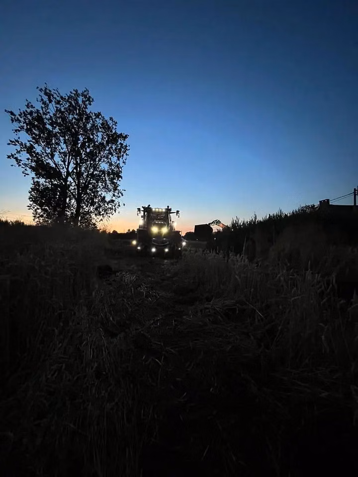 A tractor with headlights on is facing forward in a field at dusk, with a tree on the left and crops around.