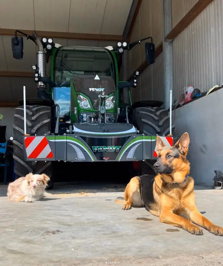A green tractor with a front weight bumper marked Fendt is parked in a shed, with two dogs lying in front of it