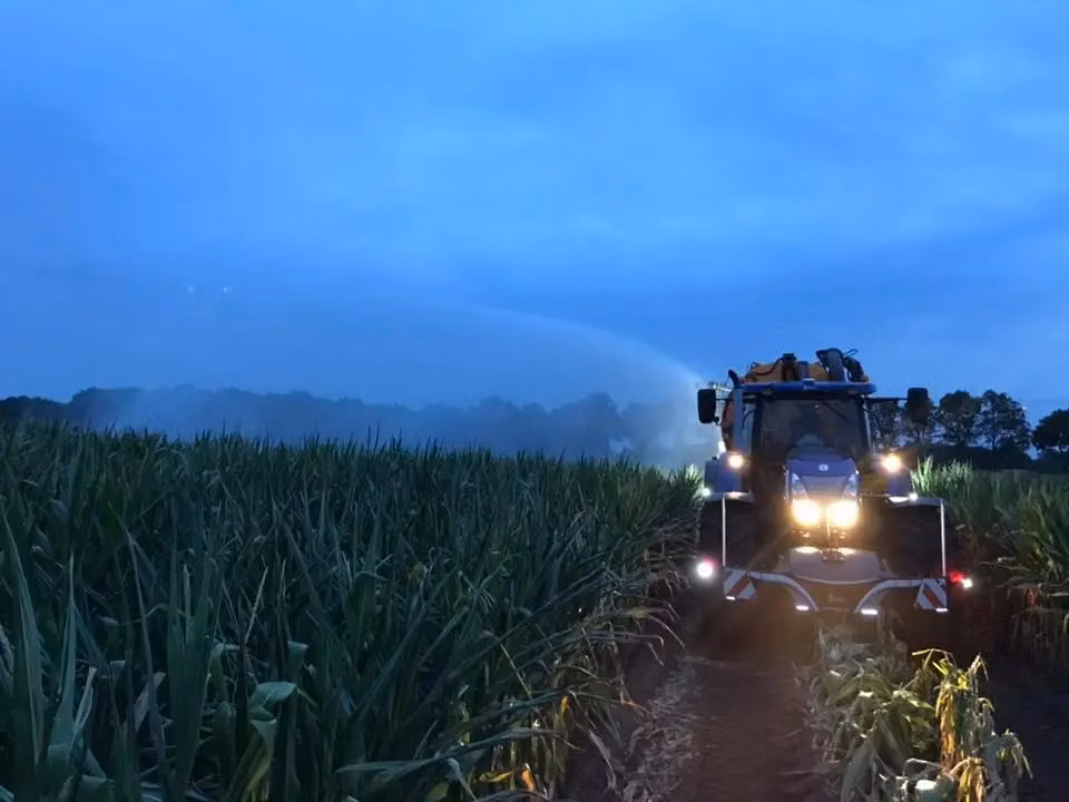 Tractor with headlights on and a front weight bumper driving through a field of tall green crops at dusk